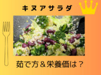 キヌアサラダのレシピ