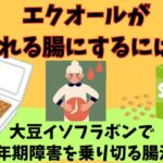 エクオールと大豆イソフラボン
